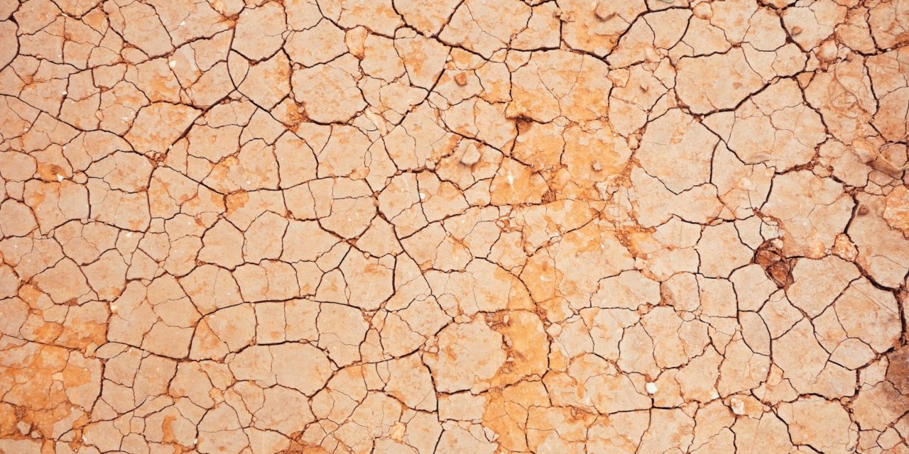 https://www.louisdavidbenyayer.com/wp-content/uploads/2026/08/micaela-parente-UzTBnxFiSWE-unsplash-1280x640.jpg